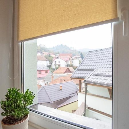Brasha Residence Brasov Luaran gambar