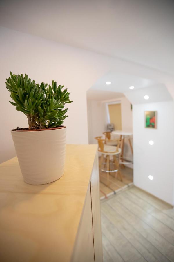 Brasha Residence Brasov Luaran gambar